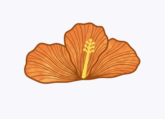 Orange Hibiscus Claw Clip